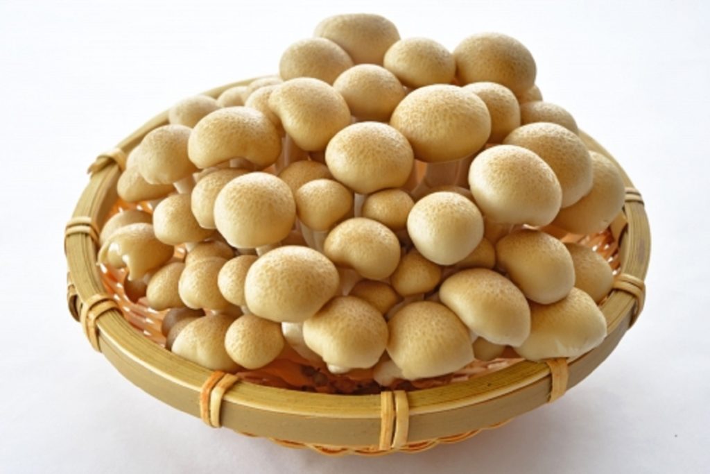 【林修の今でしょ講座】きのこの健康パワーと、効果的なレシピや食べ方！しめじ・舞茸・えのき【3月12日】 オーサムスタイル